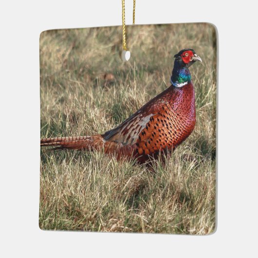 Pheasant-Foto Keramikornament (Links)