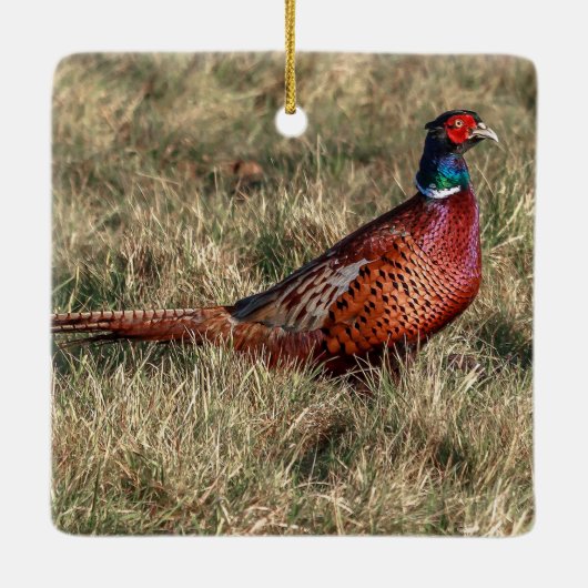 Pheasant-Foto Keramikornament (Rückseite)