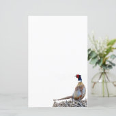 Pheasant-Foto-Papier mit Ringhals (Stehend Vorderseite)
