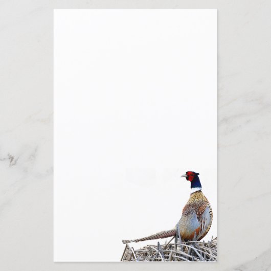 Pheasant-Foto-Papier mit Ringhals (Vorderseite)