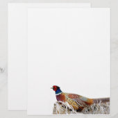 Pheasant-Foto-Papier mit Ringhals Briefbogen (Vorne/Hinten)