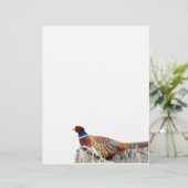 Pheasant-Foto-Papier mit Ringhals Briefbogen (Stehend Vorderseite)