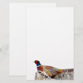 Pheasant-Foto-Papier mit Ringhals Briefpapier (Vorne/Hinten)