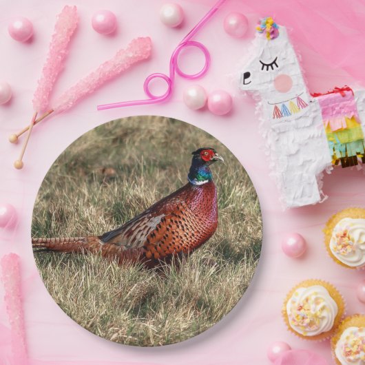 Pheasant-Foto Pappteller (Party)