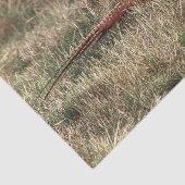 Pheasant-Foto Seidenpapier (Ausschnitt)