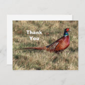 Pheasant Foto Vielen Dank Postkarte (Vorne/Hinten)