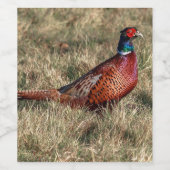 Pheasant-Foto Weinetikett (Einzelnes Label)