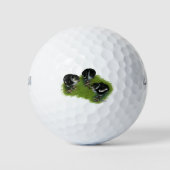 Pheasant Golfball (Vorderseite)