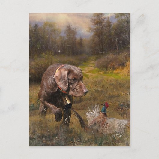 Pheasant Jagen mit Pudelzeigen Postkarte (Vorderseite)