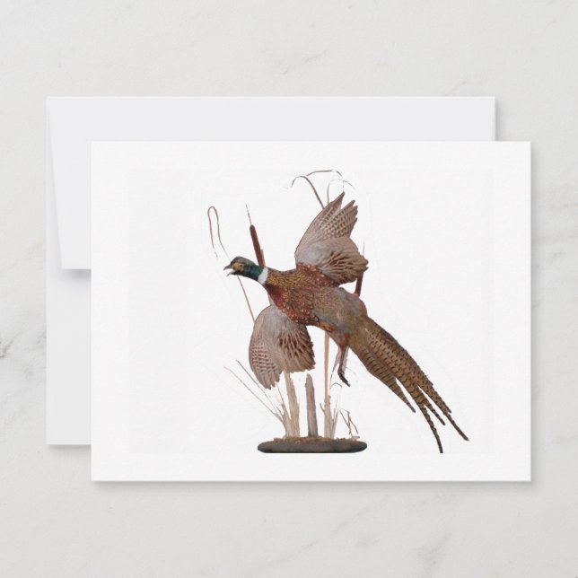 Pheasant Mount (Vorderseite)