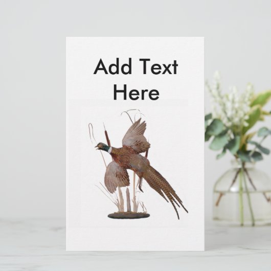 Pheasant Mount (Stehend Vorderseite)