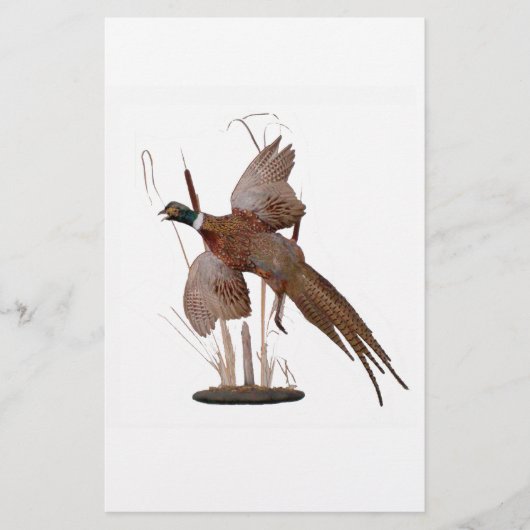 Pheasant Mount (Vorderseite)