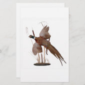 Pheasant Mount (Vorne/Hinten)