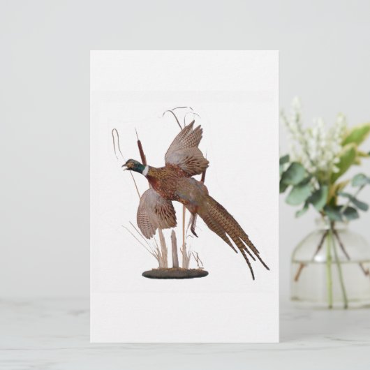 Pheasant Mount (Stehend Vorderseite)