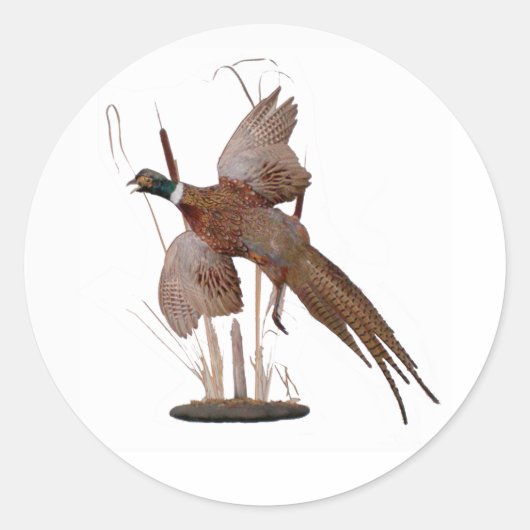 Pheasant Mount Runder Aufkleber (Vorderseite)