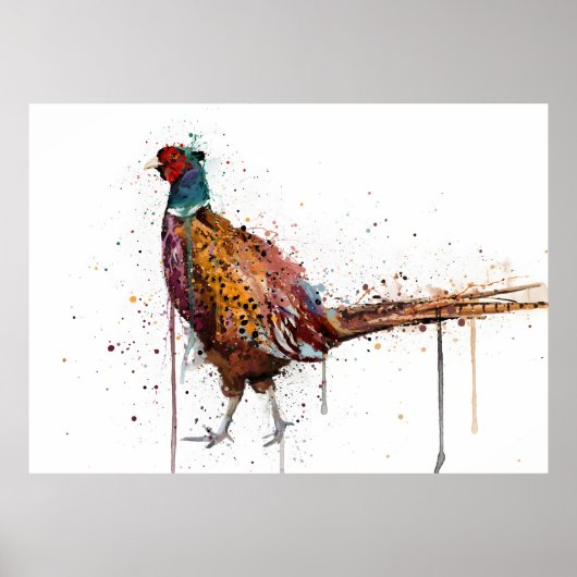 Pheasant Poster (Vorne)
