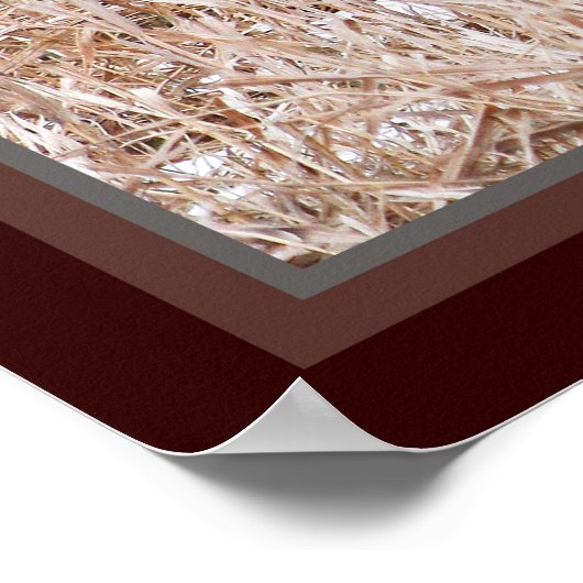 Pheasant-Poster Poster (Ecke)