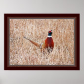 Pheasant-Poster Poster (Vorne)