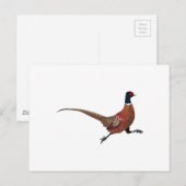 PHEASANT POSTKARTE (Vorne/Hinten)