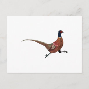 PHEASANT POSTKARTE