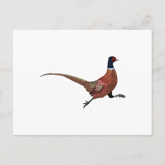 PHEASANT POSTKARTE (Vorderseite)