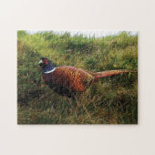 Pheasant Puzzle (Horizontal)