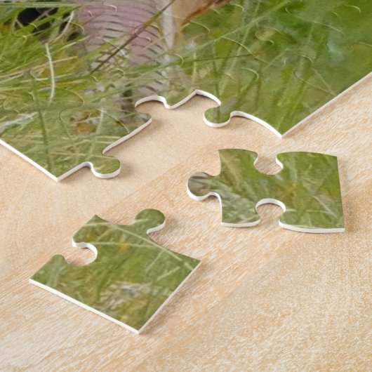 Pheasant Puzzle (Seite)