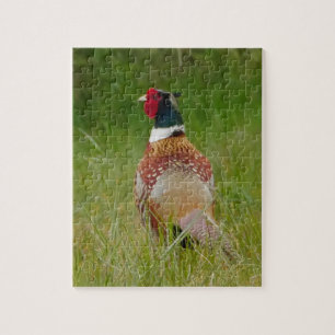 Pheasant Puzzle