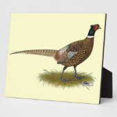 Pheasant Rooster Fotoplatte (Seite)