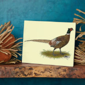 Pheasant Rooster Fotoplatte (Seite)
