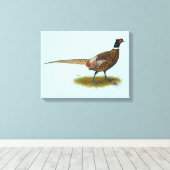 Pheasant Rooster Leinwanddruck (Insitu (Holzboden))