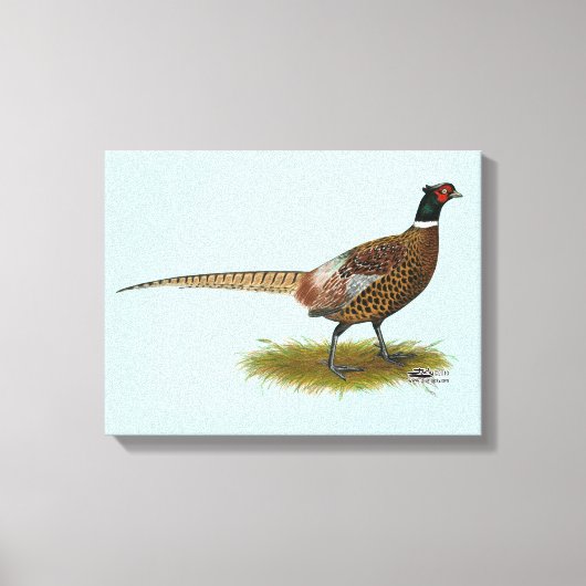 Pheasant Rooster Leinwanddruck (Vorderseite)