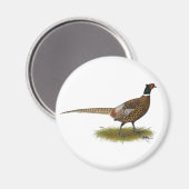 Pheasant Rooster Magnet (Vorderseite/Rückseite)