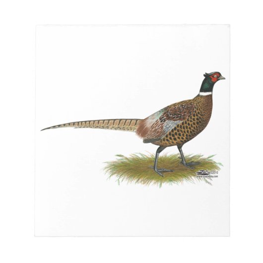 Pheasant Rooster Notizblock (Vorderseite)