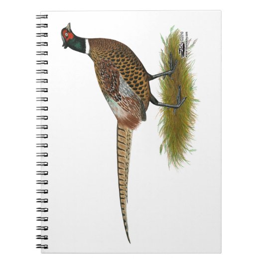 Pheasant Rooster Notizblock (Vorderseite)