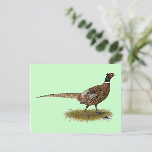 Pheasant Rooster Postkarte (Stehend Vorderseite)