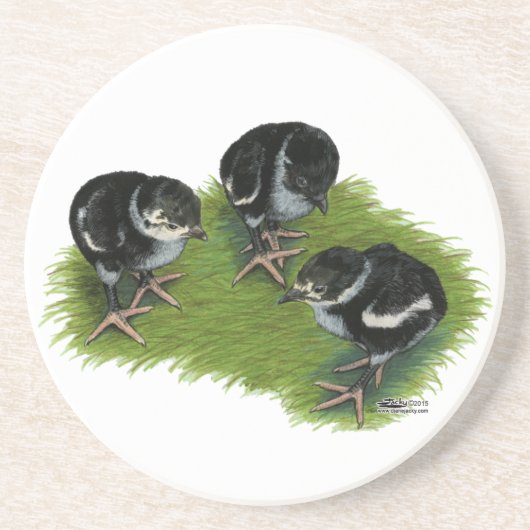 Pheasant Sandstein Untersetzer (Vorne)