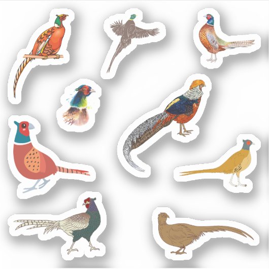 Pheasant Stickers Aufkleber (Vorderseite)