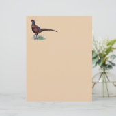 Pheasant Strutt (Stehend Vorderseite)