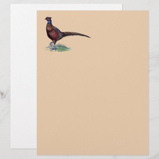 Pheasant Strutt (Vorne/Hinten)