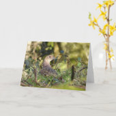 Pheasant-Vogelkarte Karte (Gelbe Blume)