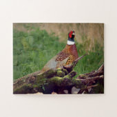 Pheasant von gefallenen Bäumen Wildtiere Oversifiz Puzzle (Horizontal)