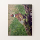 Pheasant von gefallenen Bäumen Wildtiere Oversifiz Puzzle (Vertikal)
