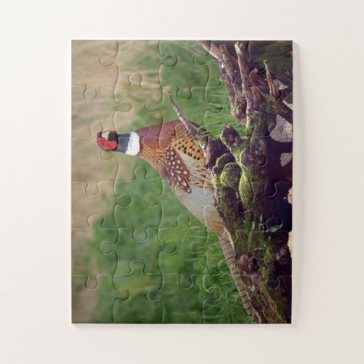 Pheasant von gefallenen Bäumen Wildtiere Oversifiz Puzzle (Vertikal)