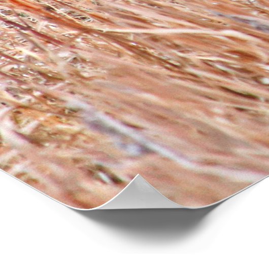 Pheasants-Halsring Poster (Ecke)