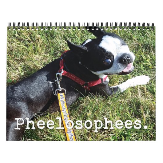 Pheelosophees-Kalender 2016 Kalender (Titelbild)