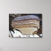 Phellinus igniarius Mushroom Canvas Print Leinwanddruck (Vorderseite)