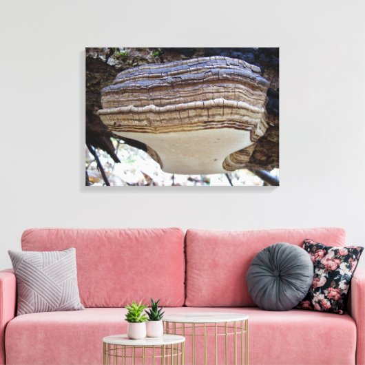 Phellinus igniarius Mushroom Canvas Print Leinwanddruck (Insitu (Wohnzimmer))