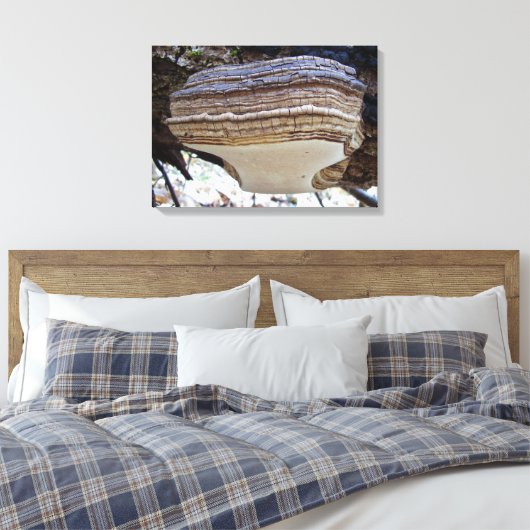 Phellinus igniarius Mushroom Canvas Print Leinwanddruck (Insitu (Schlafzimmer))