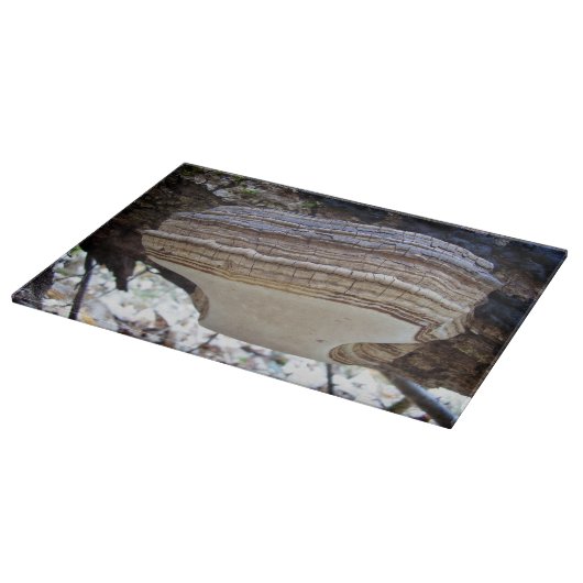 Phellinus igniarius Mushroom Glass Chopping Board Schneidebrett (Ecke)